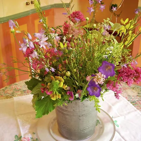 Chateau Luxury Montbrun, Cleaning Included アパート *